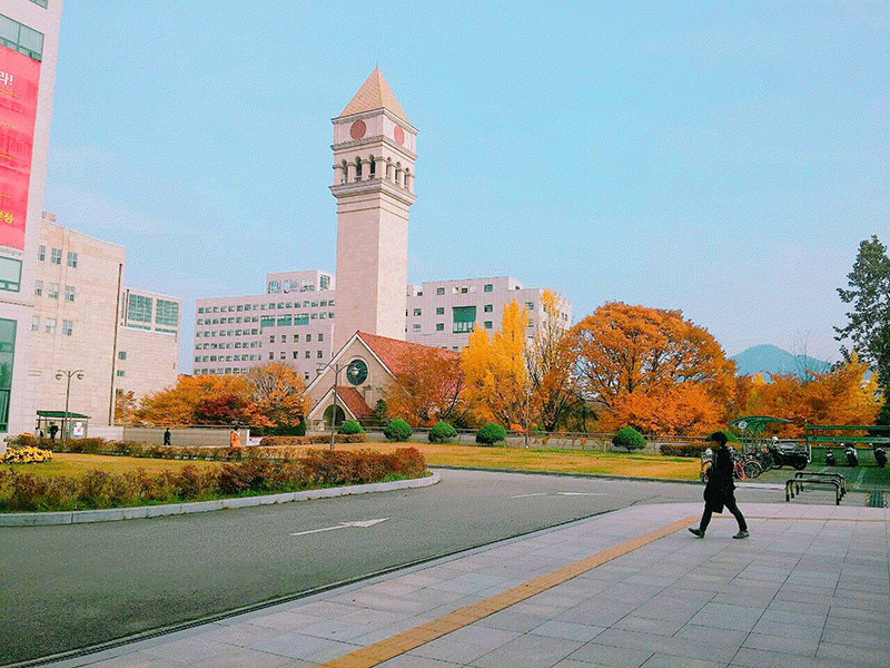 Trường Đại học Sejong Hàn Quốc