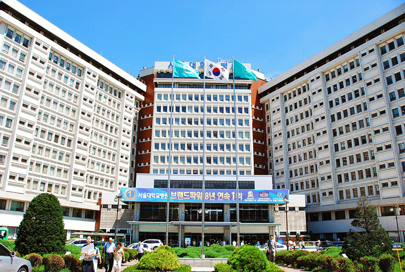 Trường Đại học Quốc gia Seoul Hàn Quốc