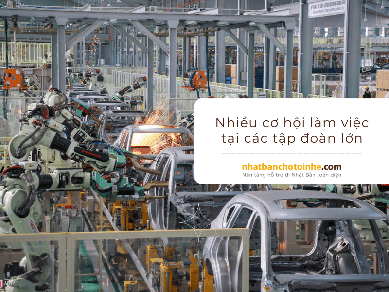 Du học sinh có cơ hội làm việc tại các tập đoàn lớn