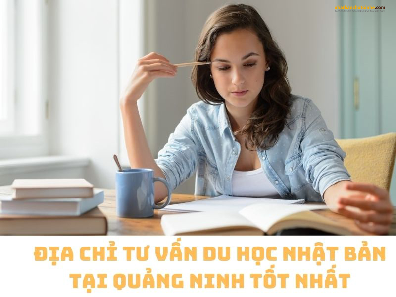 TOP 8 địa chỉ tư vấn du học Nhật Bản tại Quảng Ninh tốt nhất