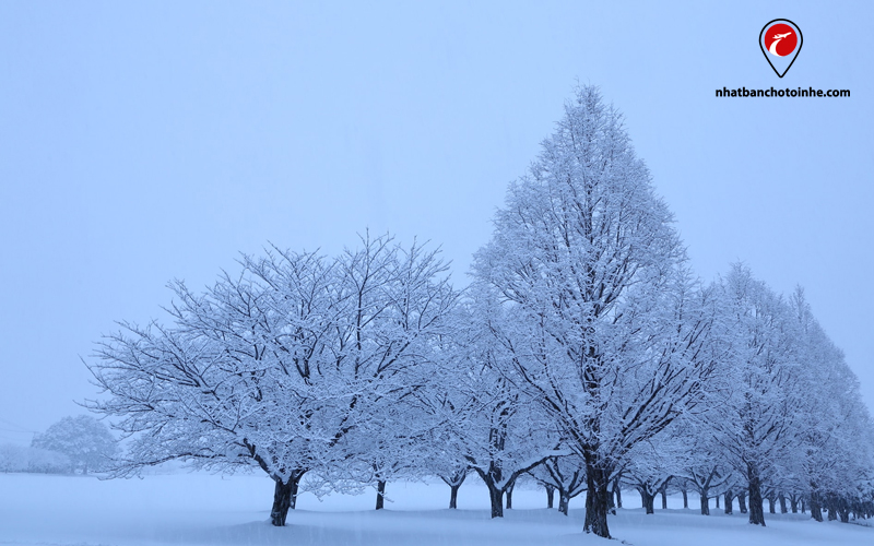 Cảnh vật đất trời vào mùa đông ở Nhật Bản