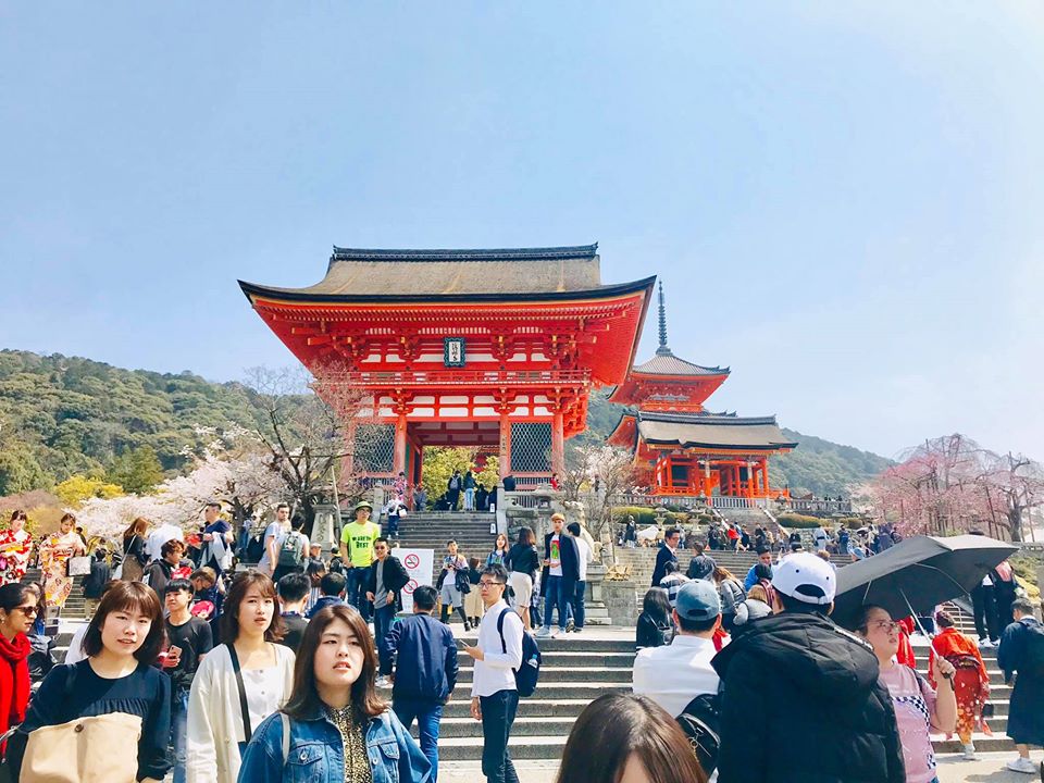 Cẩm nang từ A – Z: Những điều cần làm khi lần đầu tiên đến Nhật