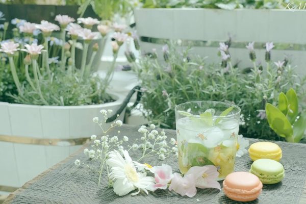 Mùa xuân Nhật Bản dạo chơi chợ phiên và công viên thảo mộc | Kuma Story