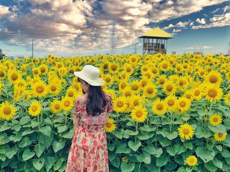 Nhật Bản nơi anh chàng trai bên em năm 17 tuổi