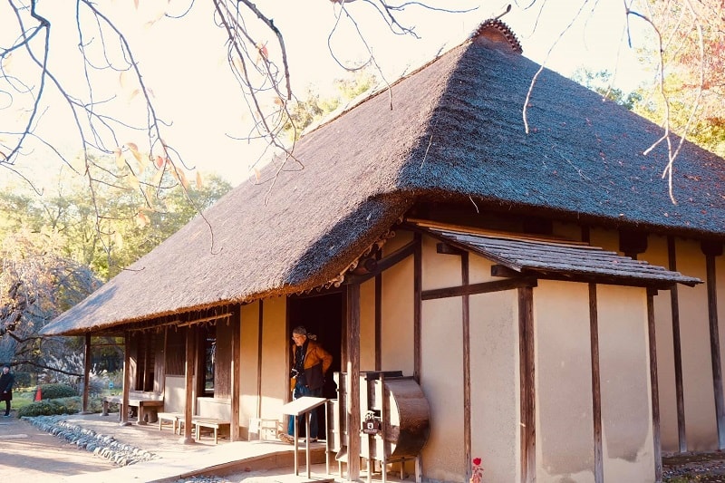 Mùa thu yên bình đến lạ thường