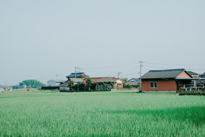 Du lịch Hàn Quốc mùa nào đẹp nhất trong năm