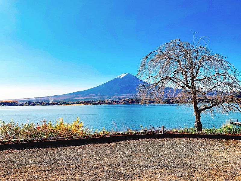 Kinh nghiệm xin visa du lịch Nhật Bản: Cập nhật thông tin mới liên tục