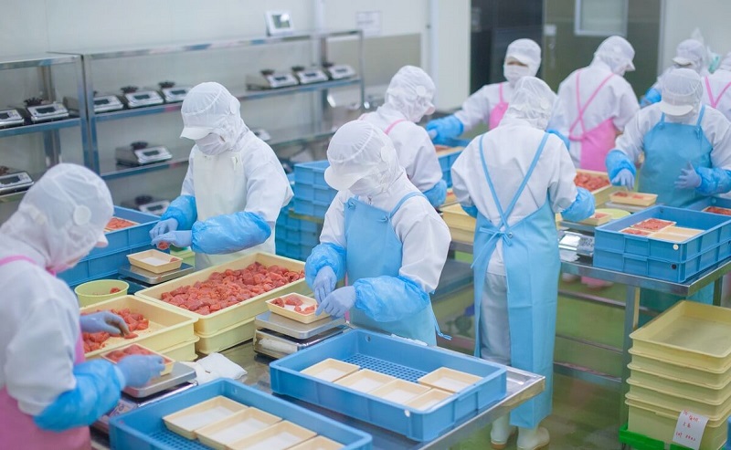 Thực tập sinh Nhật Bản là gì? Chi phí, điều kiện visa chương trình