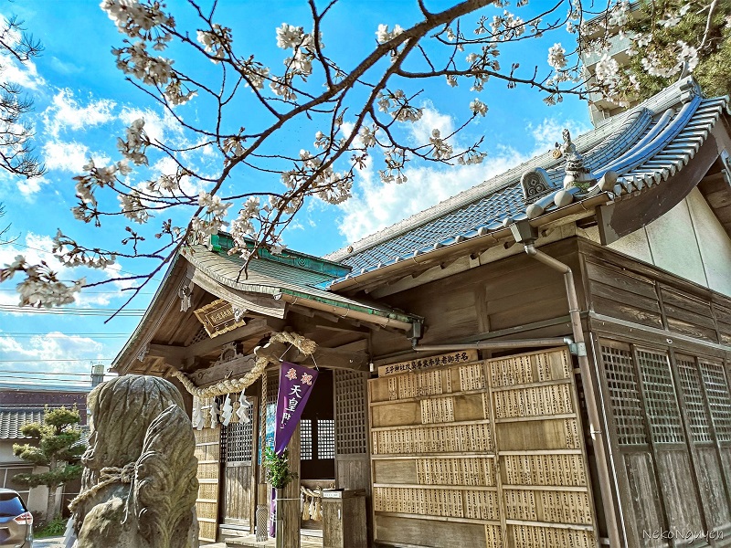 Khám phá du học Nhật Bản