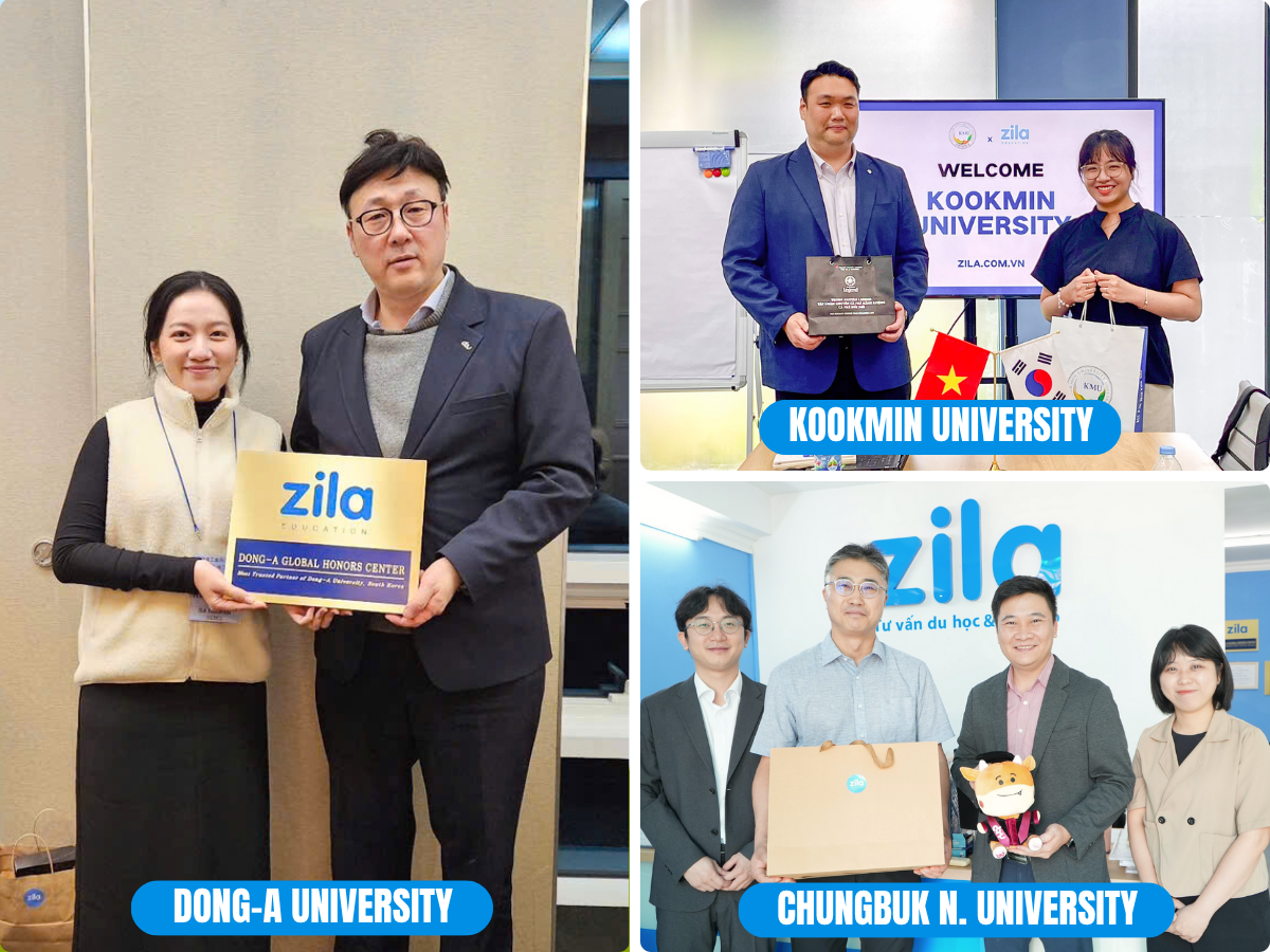 6. zila x ĐỐi tÁc 2