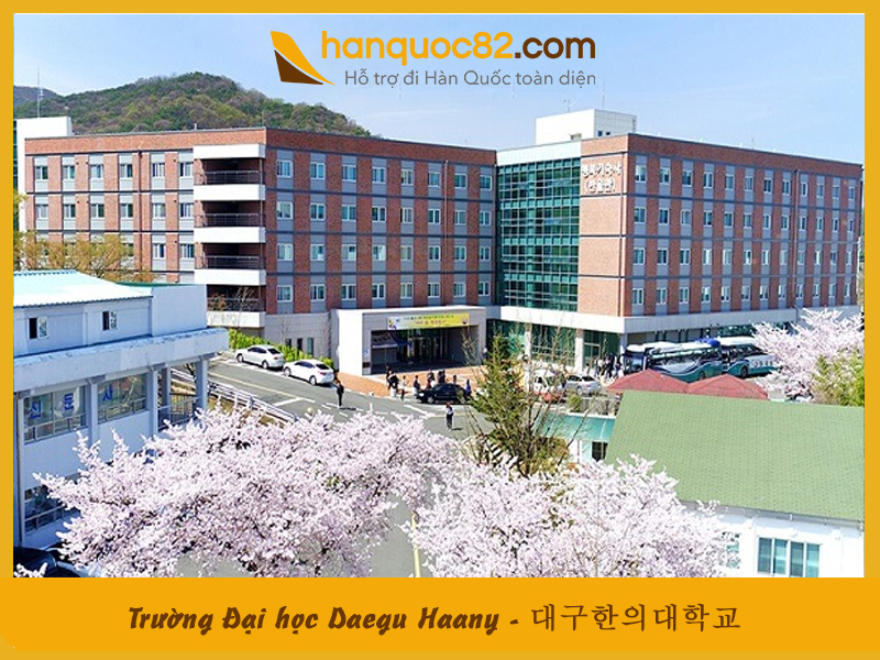 Trường Đại học Daegu Haany – Daegu Haany University Trường Đại học Daegu Haany – Daegu Haany University