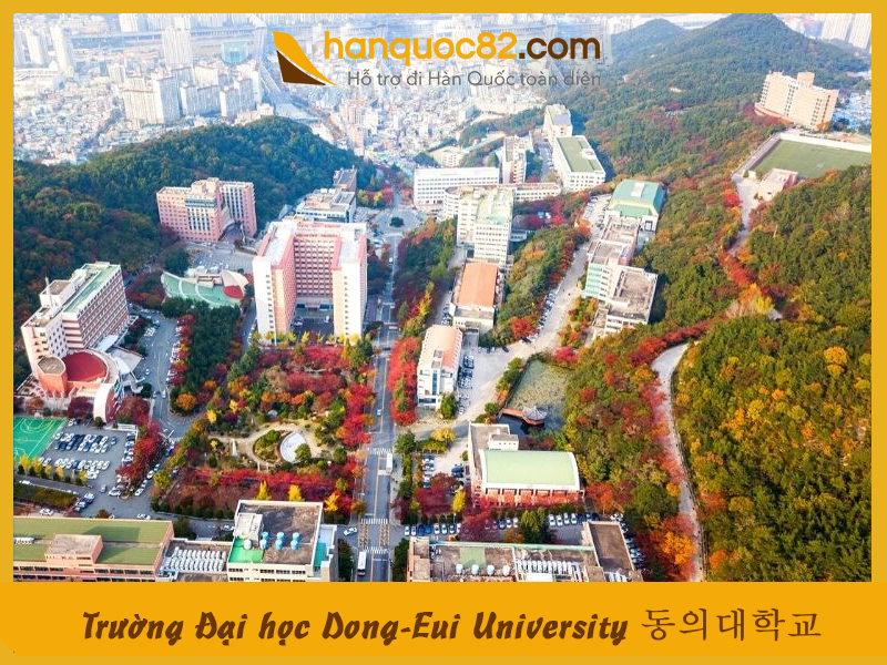 Trường Đại học Dong-Eui: Dong-Eui University Trường Đại học Dong-Eui: Dong-Eui University
