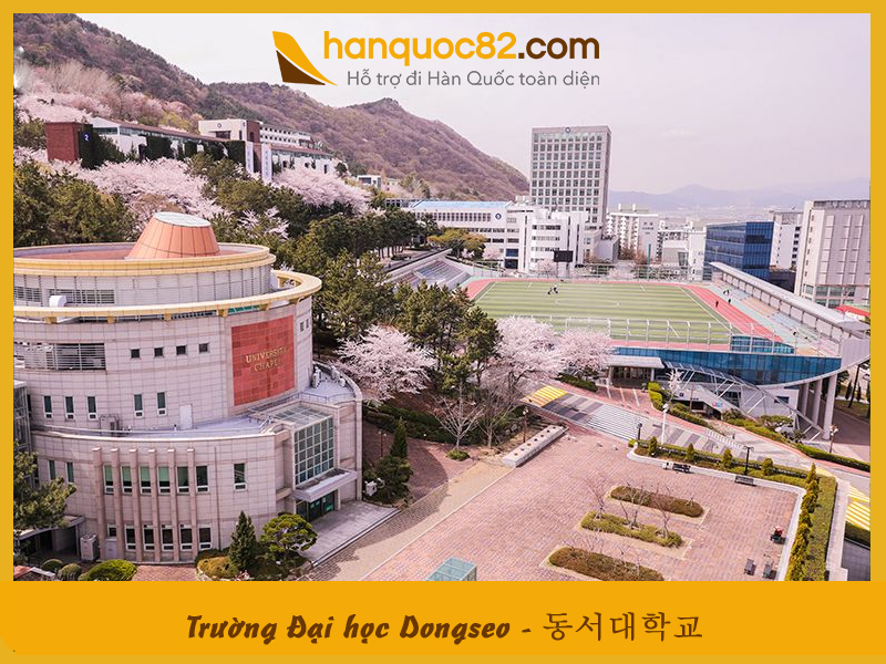 Dongseo university