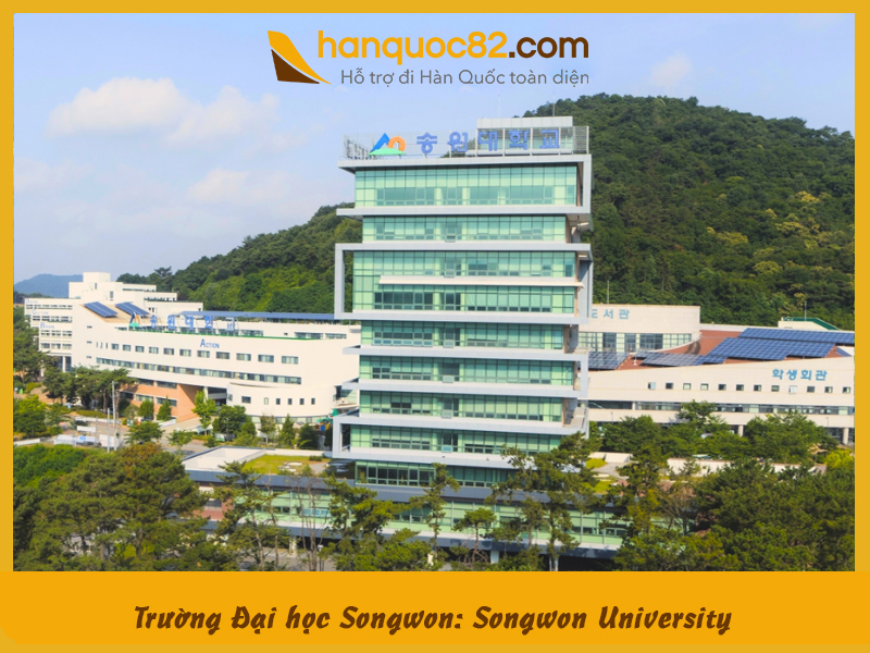Trường Đại học Songwon: Songwon University