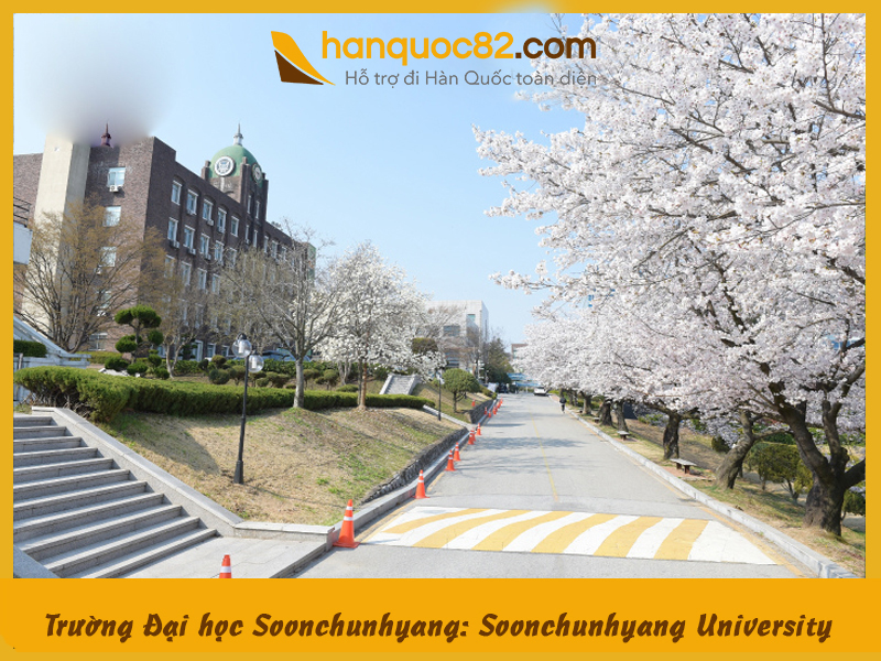 Soonchunhyang university