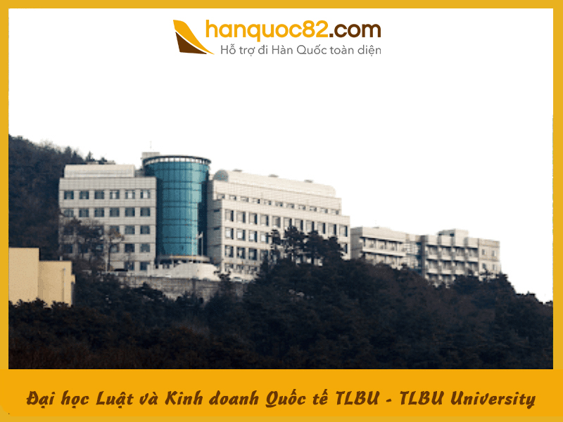 Trường Đại học Luật và Kinh doanh Quốc tế TLBU Hàn Quốc: TLBU University