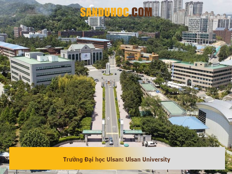 Trường Đại học Ulsan: Ulsan University