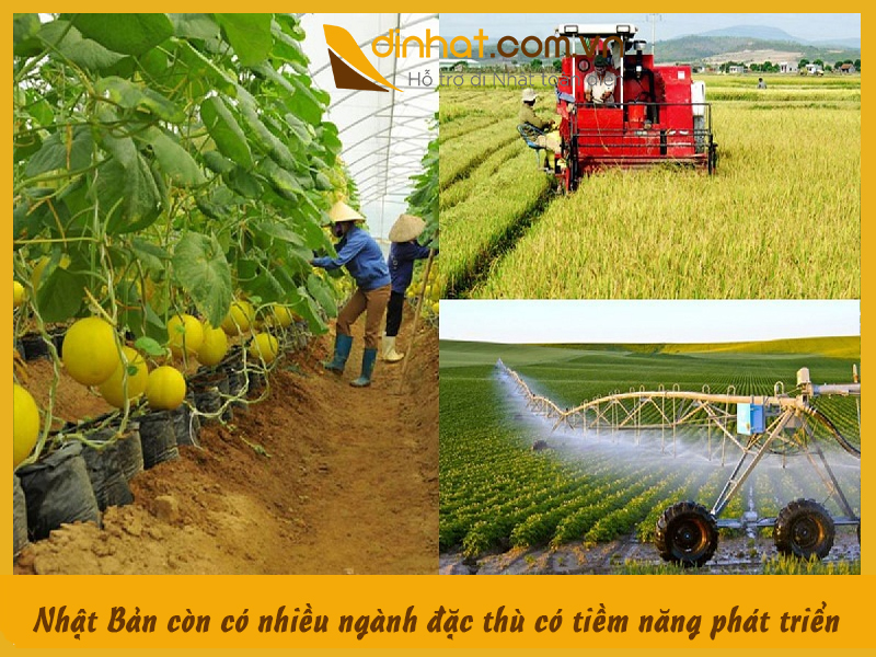 Nhat ban co nhieu ngạnh dac thu