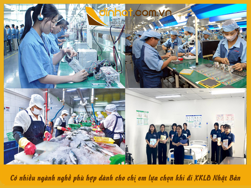 Nhieu don hang cho chị e