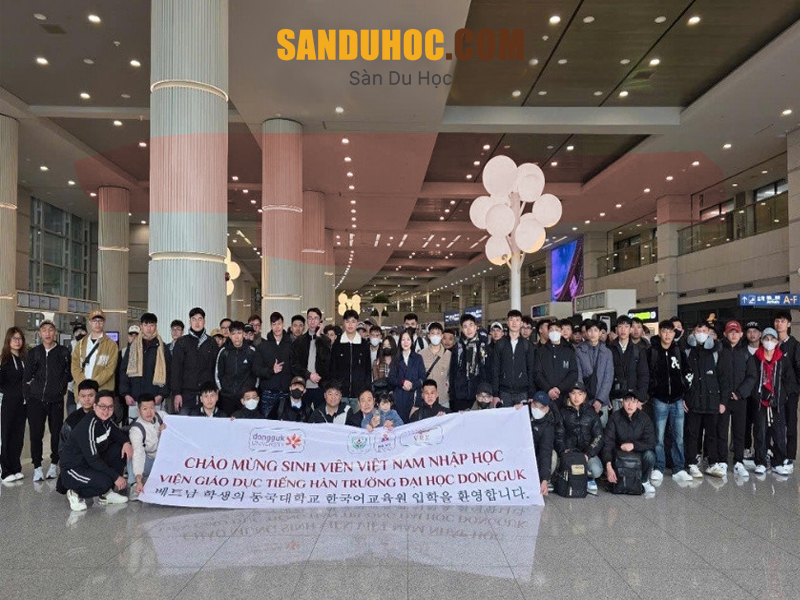 Trung tâm tư vấn du học Hàn Quốc SunKorea