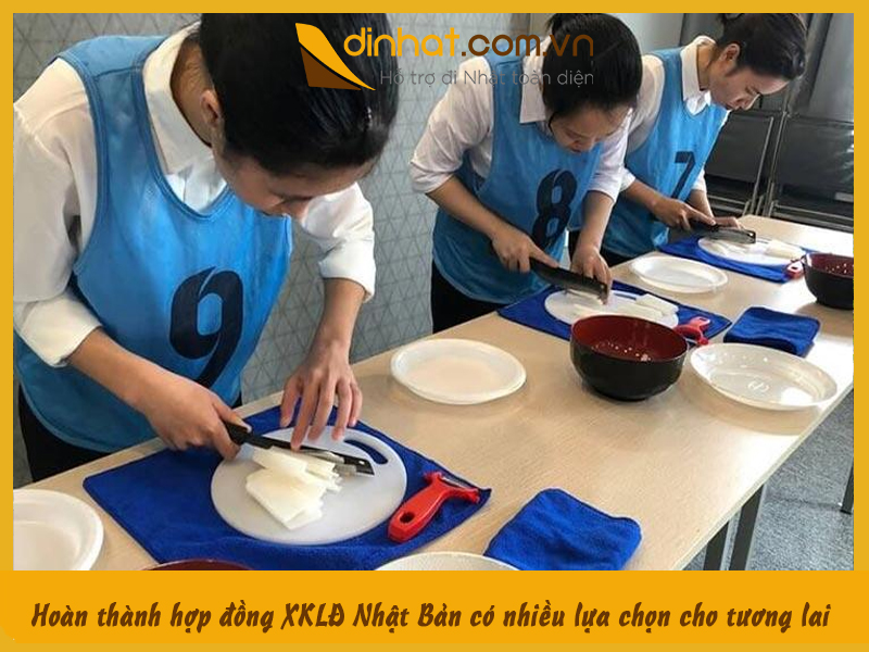 Xkld nhat ban co nhieu lua chon nghe nghiep