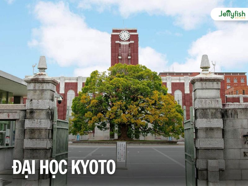 Top 10 Trung Tâm Du Học Nhật Bản Tại Đồng Tháp Sáp Nhập Tiền Giang – Cơ Hội Vàng Cho Sinh Viên Địa Phương