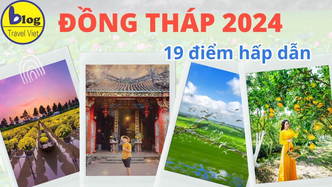 Top 10 Trung Tâm Du Học Nhật Bản Tại Đồng Tháp Sáp Nhập Tiền Giang – Cơ Hội Vàng Cho Sinh Viên Địa Phương