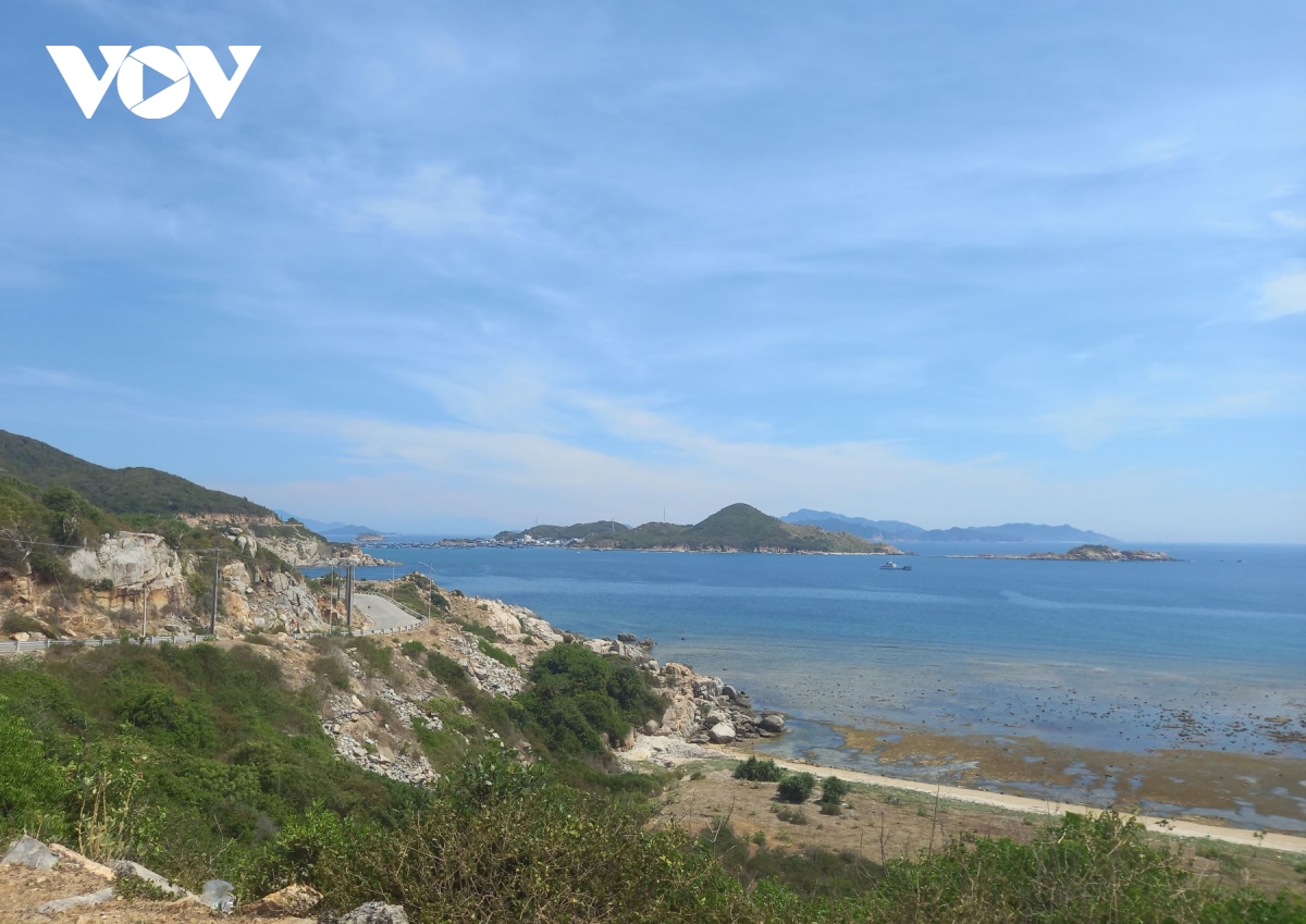 TOP 10 trung tâm du học Nhật Bản tại Khánh Hòa (sáp nhập Ninh Thuận – Khánh Hòa) - Cầu nối vững chắc cho hành trình du học