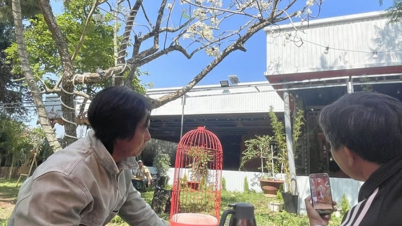 Top 10 trung tâm du học Nhật Bản tại Ninh Bình - Địa điểm uy tín giúp ước mơ bay cao