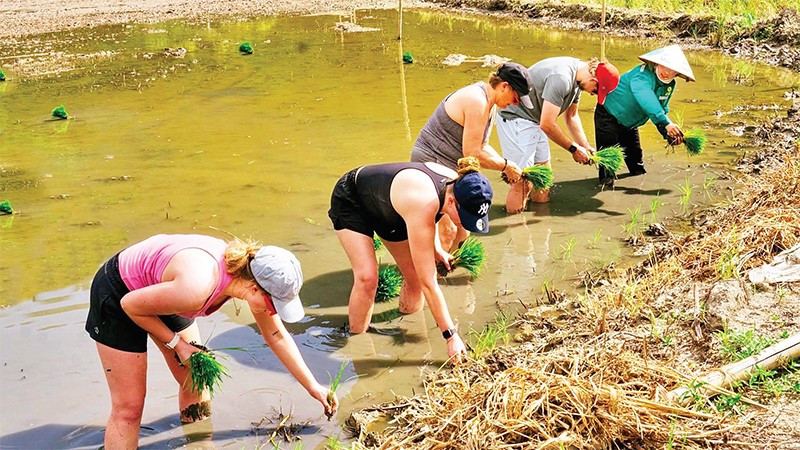 Top 10 trung tâm du học Nhật Bản tại Ninh Bình - Địa điểm uy tín giúp ước mơ bay cao