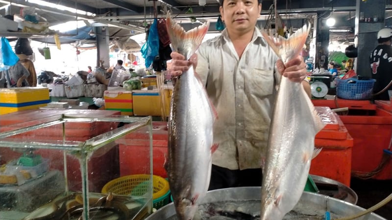 Top 10 trung tâm xuất khẩu lao động Nhật Bản tại Cà Mau (sáp nhập Bạc Liêu – Cà Mau) – Cơ hội việc làm hấp dẫn và đáng tin cậy