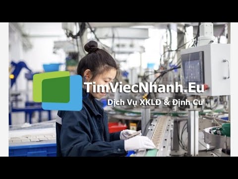 Top 10 trung tâm xuất khẩu lao động Nhật Bản tại Đồng Tháp (sáp nhập Tiền Giang – Đồng Tháp) - Cơ hội vươn xa cùng các địa điểm uy tín