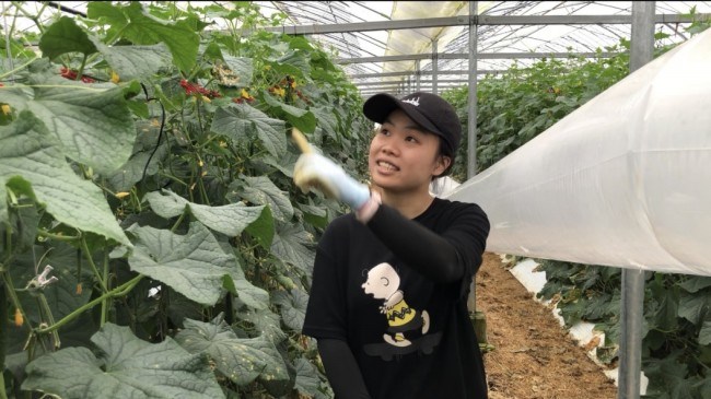 Du học Nhật Bản tại Miyazaki