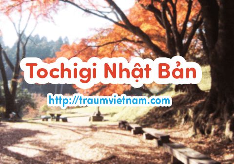 Du học Nhật Bản tại Tochigi