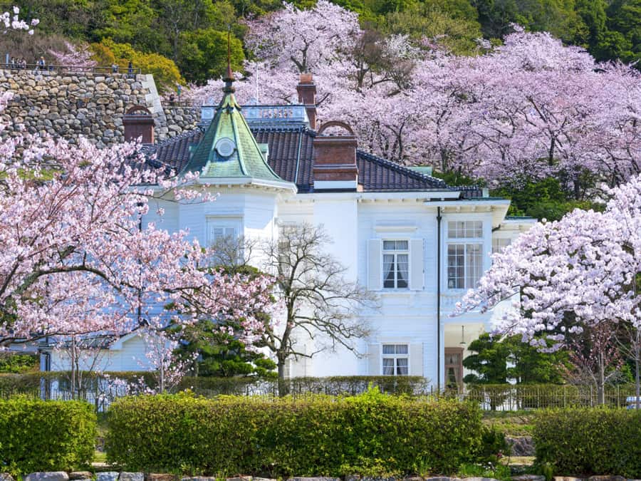 Du học Nhật Bản tại Tottori