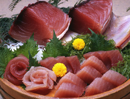 Du học Nhật Bản tại Wakayama