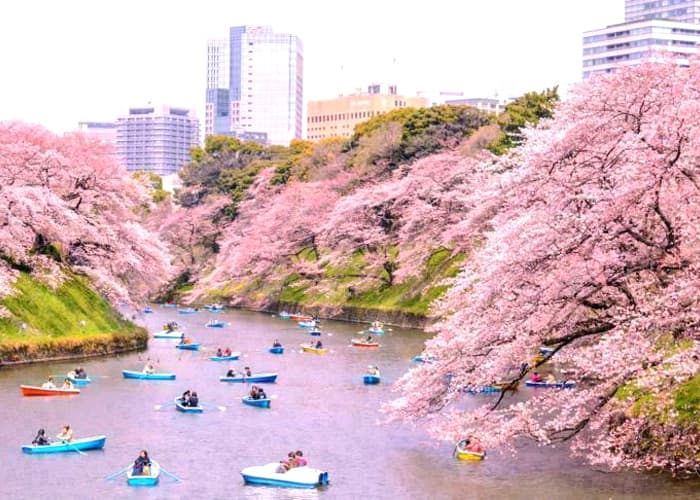 Du học Nhật Bản tại Yamagata Du học Nhật Bản tại Yamagata